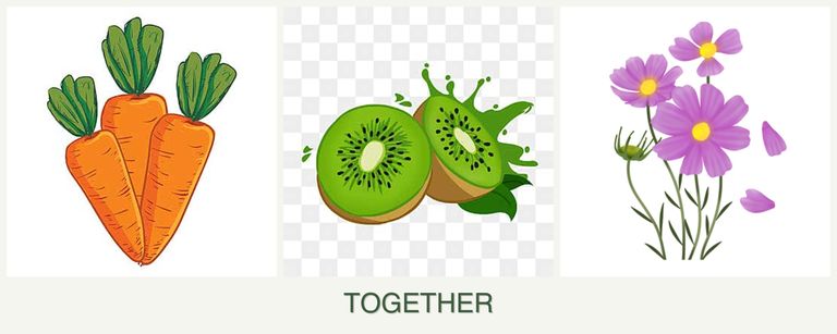 Can you plant carrots, kiwi and cosmos together?