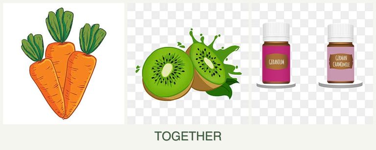 Can you plant carrots, kiwi and geraniums together?