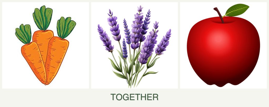 Can you plant carrots, lavender and apples together?
