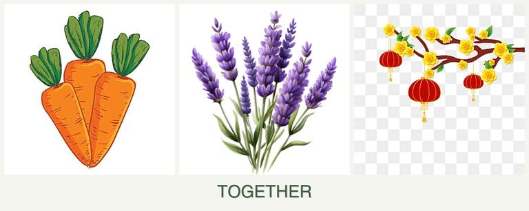 Can you plant carrots, lavender and apricots together?