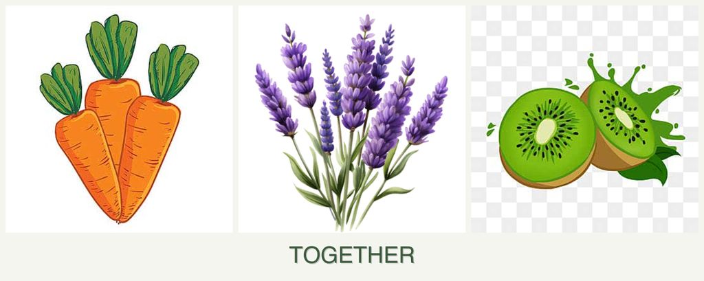Can you plant carrots, lavender and kiwi together?