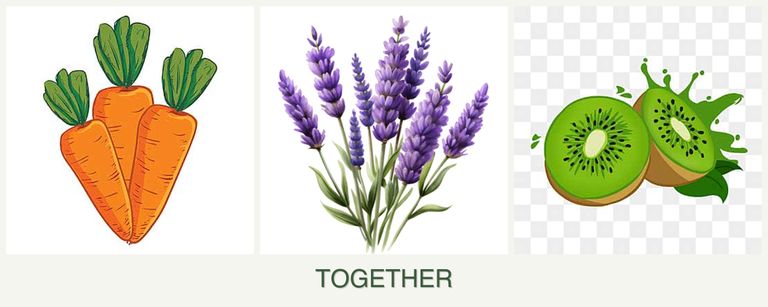 Can you plant carrots, lavender and kiwi together?