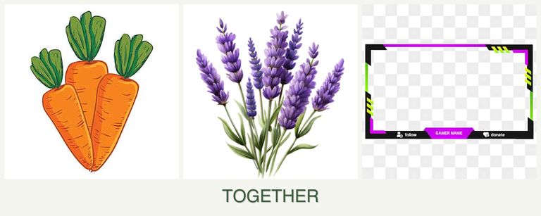 Can you plant carrots, lavender and limes together?