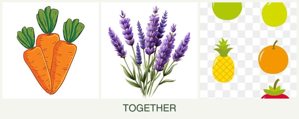 Can you plant carrots, lavender and pears together?