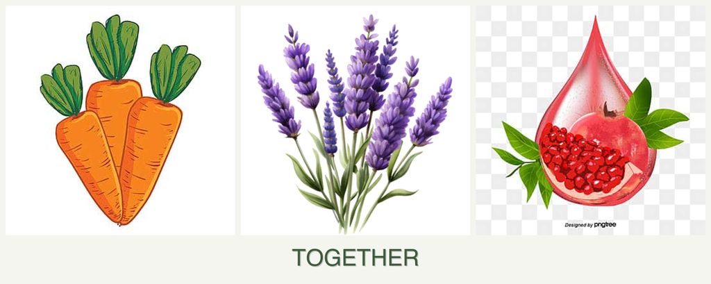 Can you plant carrots, lavender and pomegranates together?