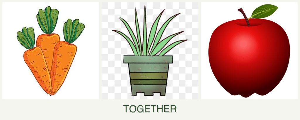 Can you plant carrots, lemongrass and apples together?