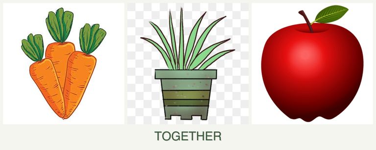 Can you plant carrots, lemongrass and apples together?