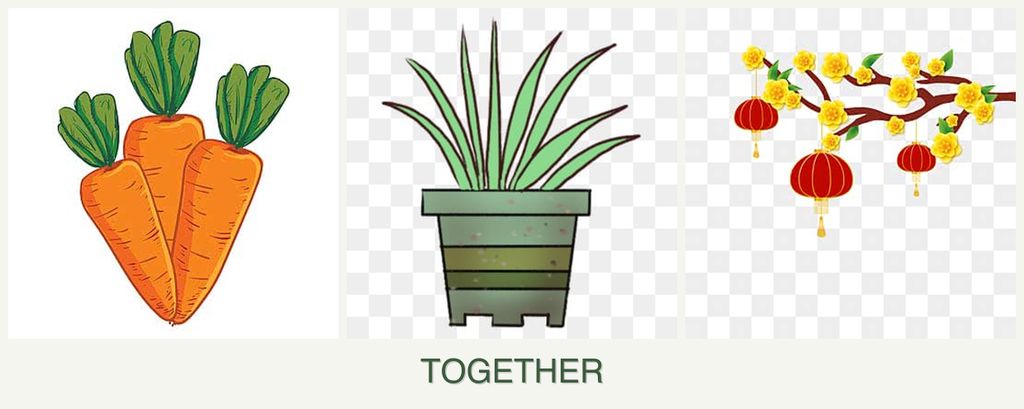 Can you plant carrots, lemongrass and apricots together?