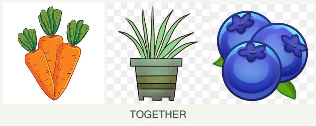 Can you plant carrots, lemongrass and blueberries together?