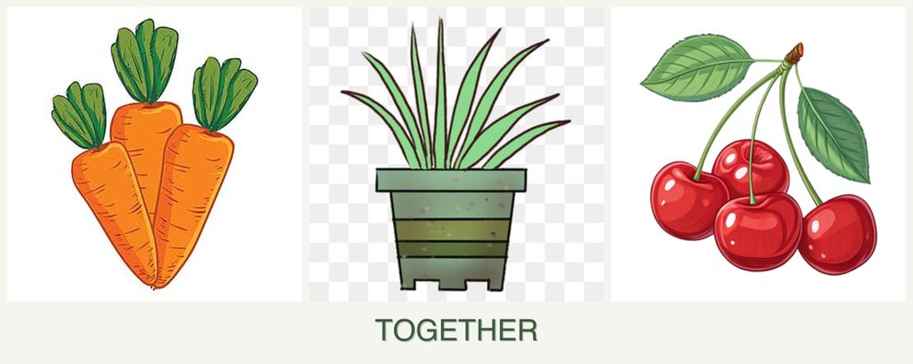 Can you plant carrots, lemongrass and cherries together?
