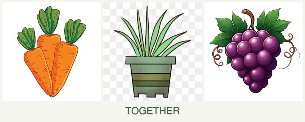 Can you plant carrots, lemongrass and grapes together?