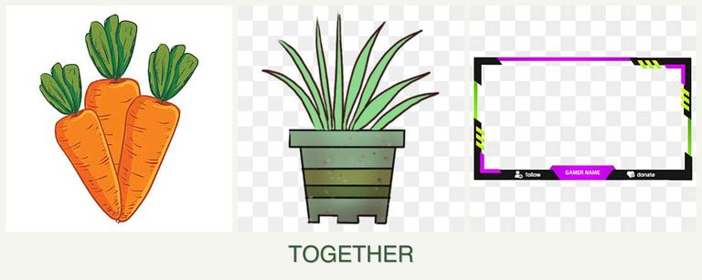 Can you plant carrots, lemongrass and limes together?