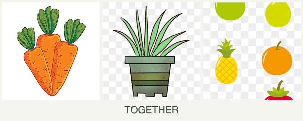 Can you plant carrots, lemongrass and pears together?