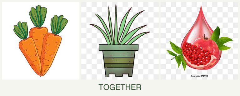 Can you plant carrots, lemongrass and pomegranates together?