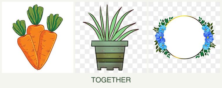 Can you plant carrots, lemongrass and zinnias together?