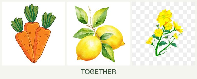 Can you plant carrots, lemons and calendula together?