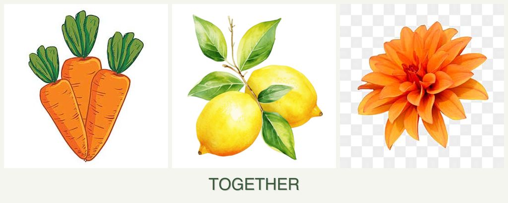 Can you plant carrots, lemons and dahlias together?