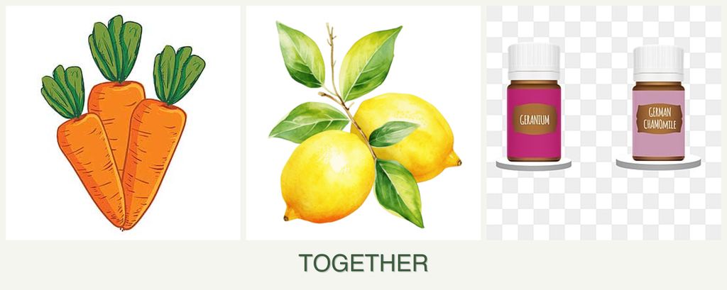Can you plant carrots, lemons and geraniums together?