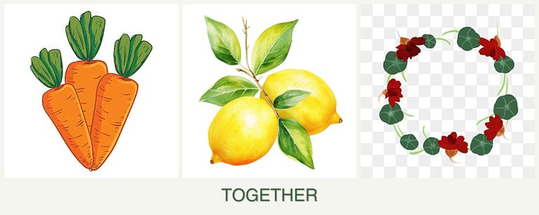 Can you plant carrots, lemons and nasturtiums together?