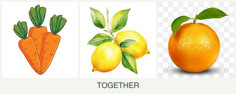 Can you plant carrots, lemons and oranges together?