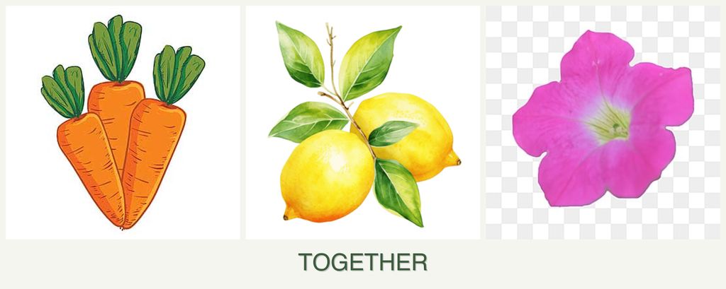 Can you plant carrots, lemons and petunias together?