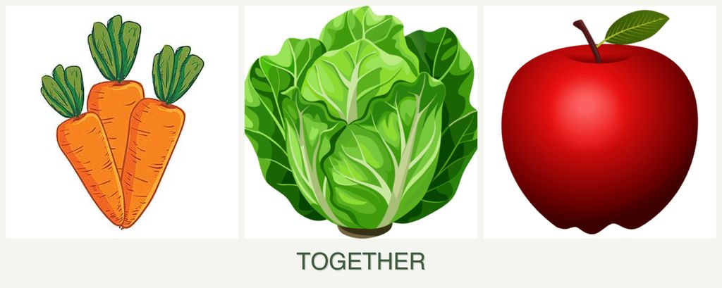 Can you plant carrots, lettuce and apples together?
