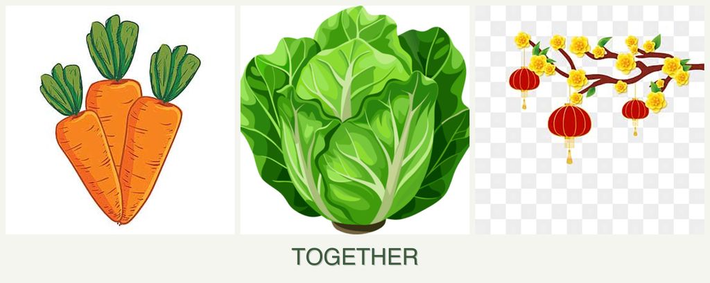 Can you plant carrots, lettuce and apricots together?