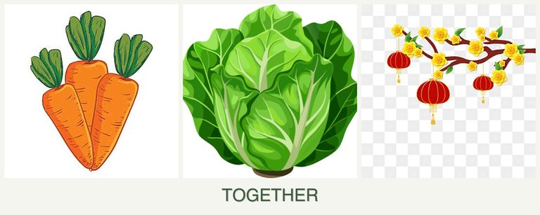 Can you plant carrots, lettuce and apricots together?