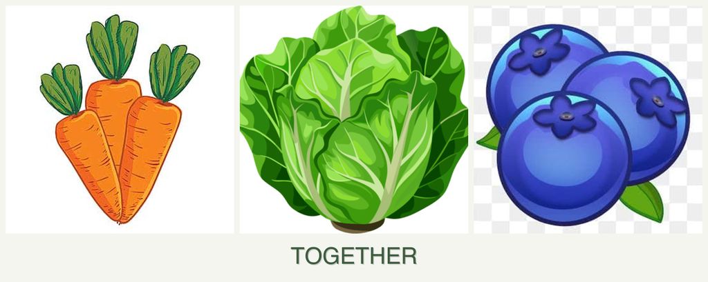 Can you plant carrots, lettuce and blueberries together?