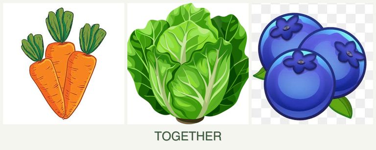 Can you plant carrots, lettuce and blueberries together?