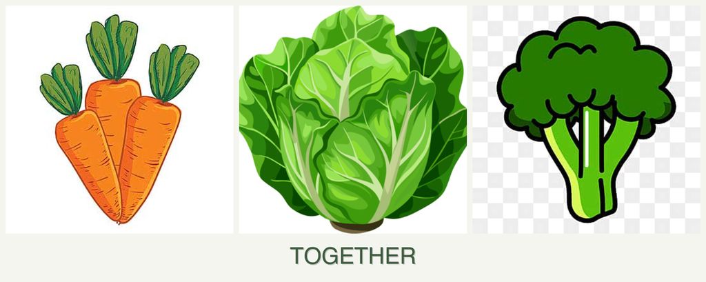 Can you plant carrots, lettuce and broccoli together?