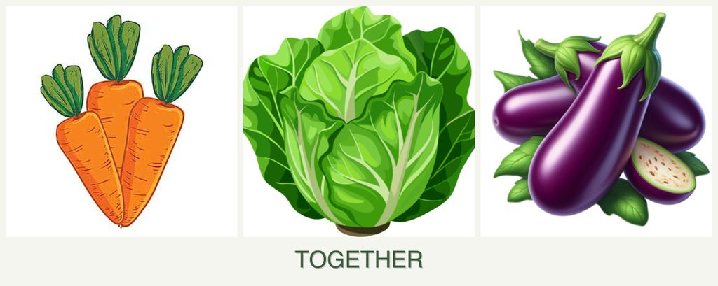 Can you plant carrots, lettuce and eggplant together?