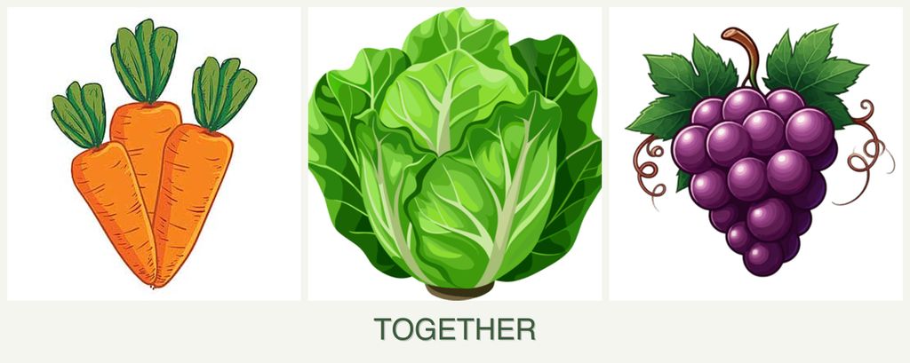 Can you plant carrots, lettuce and grapes together?