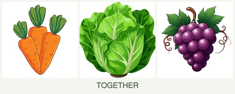 Can you plant carrots, lettuce and grapes together?