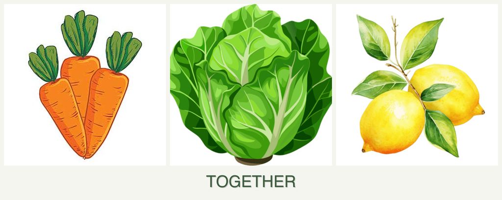 Can you plant carrots, lettuce and lemons together?