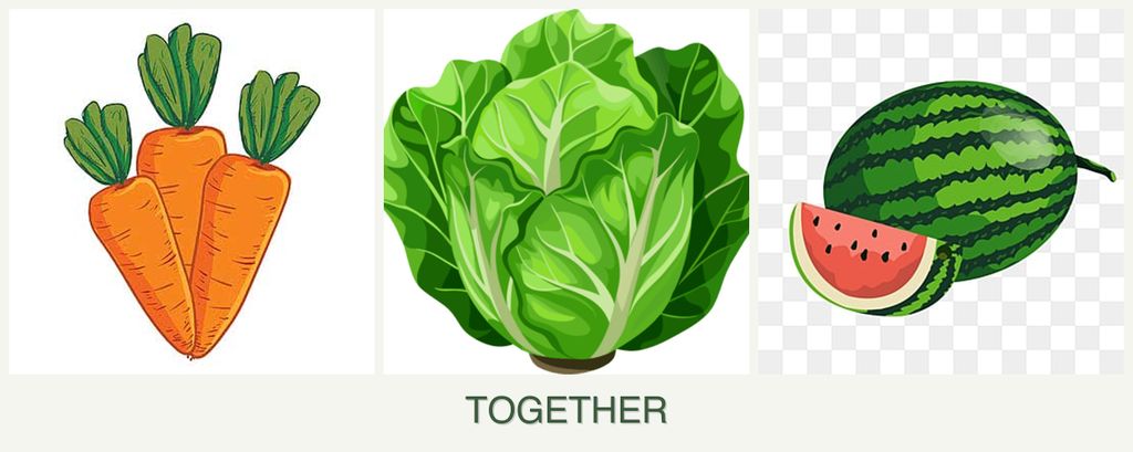 Can you plant carrots, lettuce and melons together?