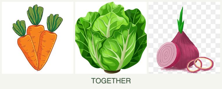 Can you plant carrots, lettuce and onions together?