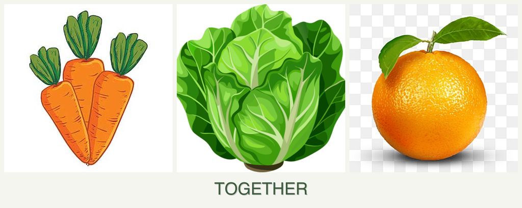 Can you plant carrots, lettuce and oranges together?