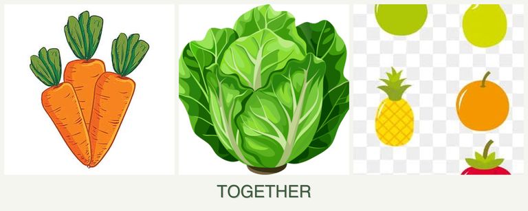 Can you plant carrots, lettuce and pears together?