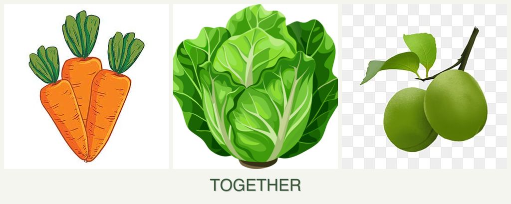 Can you plant carrots, lettuce and plums together?
