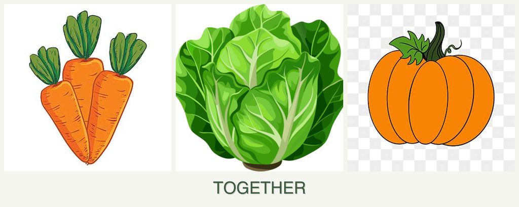 Can you plant carrots, lettuce and pumpkin together?