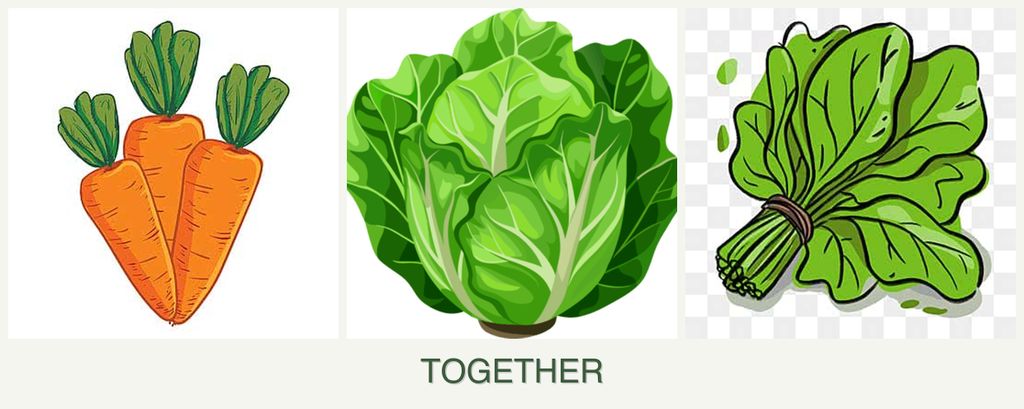 Can you plant carrots, lettuce and spinach together?