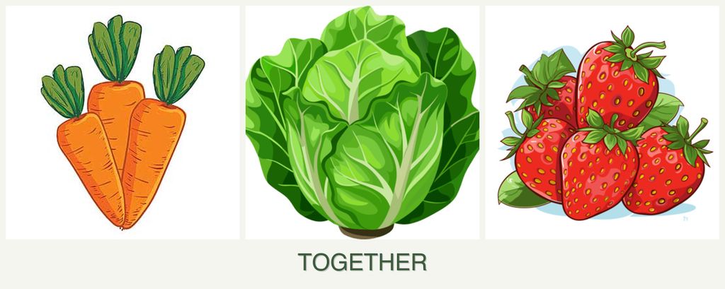 Can you plant carrots, lettuce and strawberries together?