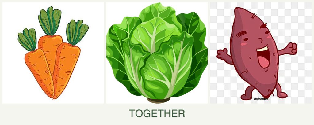 Can you plant carrots, lettuce and sweet potatoes together?