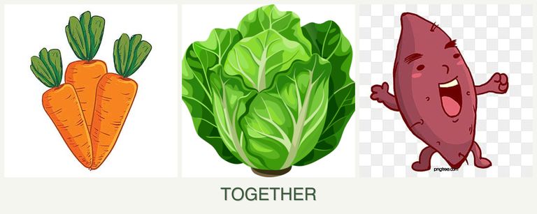 Can you plant carrots, lettuce and sweet potatoes together?