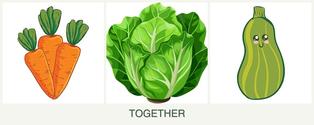 Can you plant carrots, lettuce and zucchini together?