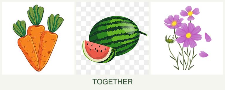 Can you plant carrots, melons and cosmos together?