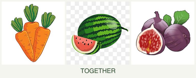 Can you plant carrots, melons and figs together?