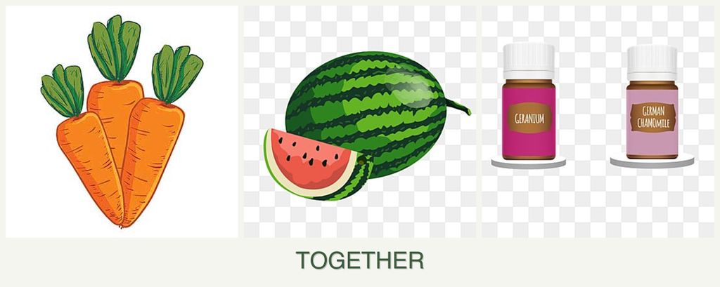 Can you plant carrots, melons and geraniums together?