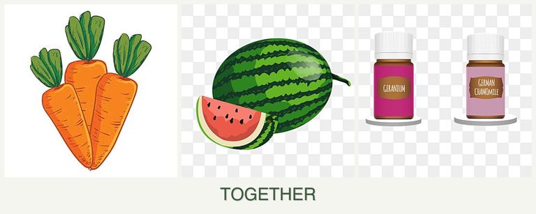 Can you plant carrots, melons and geraniums together?